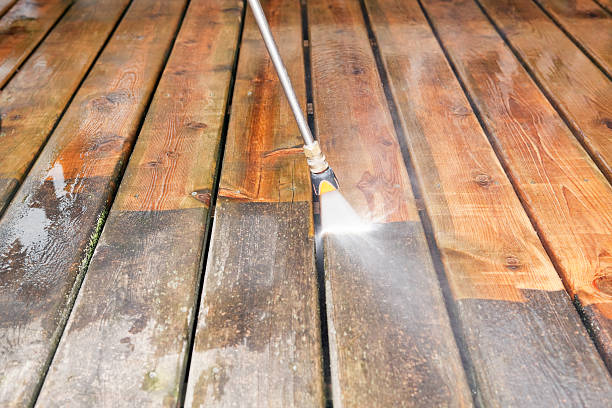 Animal Enclosure Cleaning in Northlakes, NC